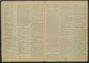 gazeta radomska-1885-29-00002